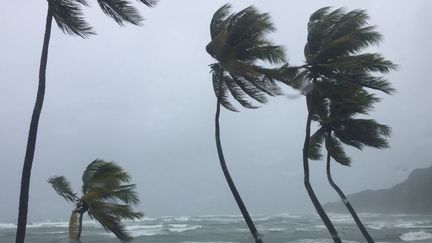 L'ouragan Maria, de catégorie 3 se renforce sur les côtes de Guadeloupe et de Martinique