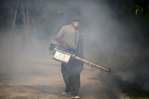 Epandage d'insecticide pour lutter contre les moustiques vecteurs du virus Zika à Bangkok en Thaïlande le 13 janvier 2016 (REUTERS - Athit Perawongmetha)