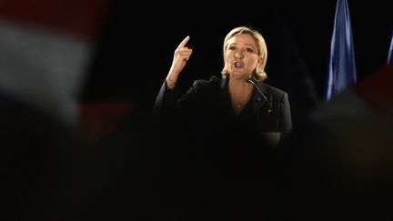 Présidentielle : Marine Le Pen intensifie sa campagne dans les zones rurales