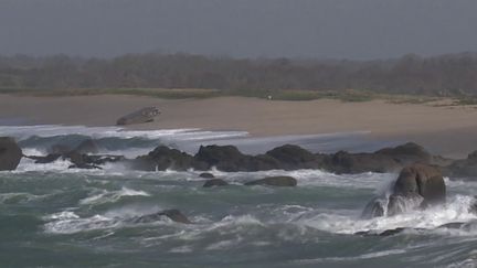 Tempête Nelson : les éléments se déchaînent en Bretagne (France 2)