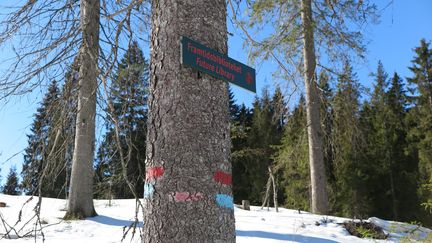 Un paneau indique la pinède de la Bibliothèque du futur, dans la forêt de Nordmarka, près d'Olso (Norvège). (VIBEKE HERMANRUD / BJORVIKA UTVIKLING)