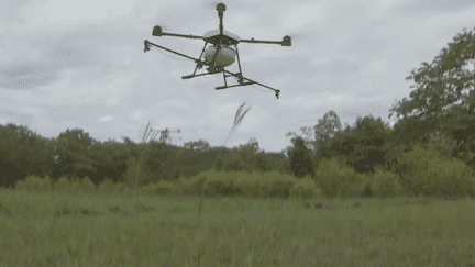 La Colombie a décidé de reprendre les épandages aériens d'herbicide pour détruire ses plantations de coca. Mais cette fois, plus d'avion. Le gouvernement utlisera des drones. (France 24)