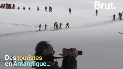 Photos de mariage sur la banquise et autres selfies avec des manchots. Les touristes sont de plus en plus nombreux à visiter l'Antarctique. Et à menacer cette région déjà fragile.