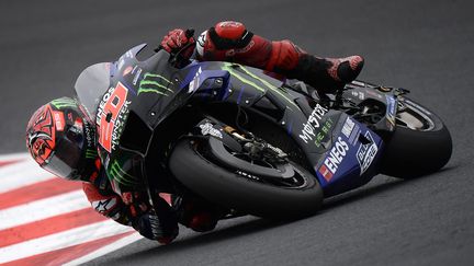 Fabio Quartararo (Yamaha Monster) lors de la quatrième séance d'essais libres du Grand Prix de Saint-Marin, le 3 septembre 2022 (FILIPPO MONTEFORTE / AFP)