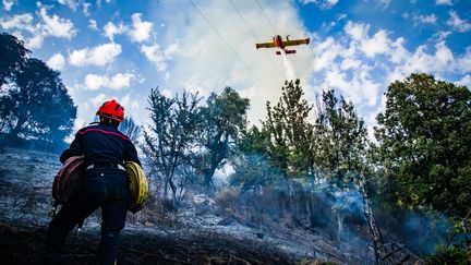 Incendies : on vous explique la différence entre un feu 