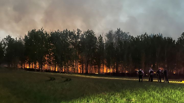 Feux de forêt dans l'Etat de l'Alberta au Canada début mai. (JEAN-SEBASTIEN CLOUTIER / RADIO CANADA)