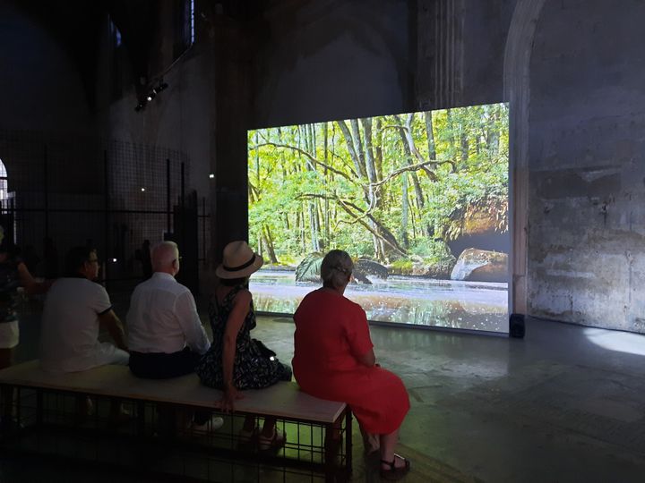 Des visiteurs devant le film "Inhale Exhale" de Noémie Goudal à Arles (Bouches-du-Rhône).
 (ANNE CHEPEAU / RADIO FRANCE)