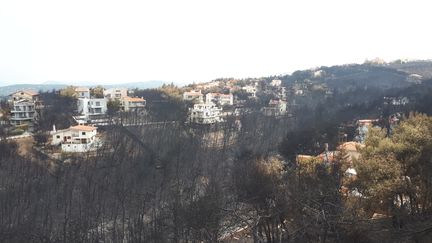 La station balnéaire de Mati en Grèce a été ravagée par de terribles incendies en juillet 2018 (BENJAMIN MATHIEU / FRANCEINFO)