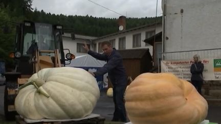 En Allemagne, la folie des légumes XXL