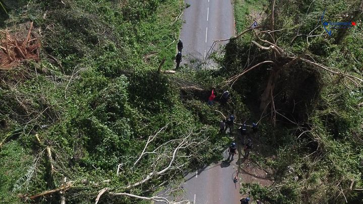 Des arbres bloquent un axe routier à Mayotte, le 16 décembre 2024, après le passage du cyclone Chido. (GENDARMERIE NATIONALE / AFP)