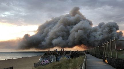 L'incendie de la forêt de Chiberta vu de la plage d'Anglet (Pyrénées-Atlantique) le 30 juillet 2020. (ANTHONY MICHEL / RADIOFRANCE)