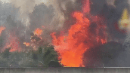 Incendies en Sicile : Catane toujours dans la fournaise (FRANCE 2)