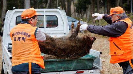 Des chasseurs emportent le cadavre d'un sanglier sauvage, à Tamioka, dans la région de Fukushima, le 2 mars 2017.&nbsp; (TORU HANAI / REUTERS)