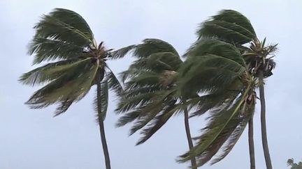 La Réunion : le cyclone Emnati menace de frapper l'île (FRANCEINFO)