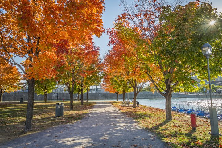 Le Vieux-Port de Montr&eacute;al (Canada), le 3 octobre 2014. (MATIAS GARABEDIAN / FLICKR)