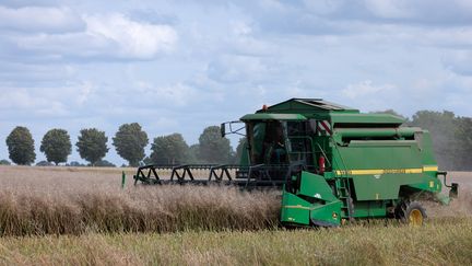 Un agriculteur moissonne un champs de colza à Saint-Philbert-sur-Risle dans l'Eure le 7 août 2023. (JOEL SAGET / AFP)