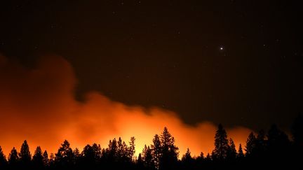 Les flammes du "Dixie Fire" à Greenville, en Californie, le 5 août 2021. (NEAL WATERS / ANADOLU AGENCY / AFP)