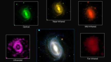 La photo, prise les 6 ao&ucirc;t par le European Southern Observatory, montre les diff&eacute;rents rayonnements d'une galaxie-type, selon les longueurs d'ondes.&nbsp; (ICRAR / GAMA AND ESO / EUROPEAN SOUTHERN OBSERVATORY)