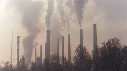 Des cheminées d'usines dans la région de Lyon. (GERARD MALIE / AFP)