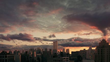 1988
 (Joel Meyerowitz Courtesy Howard Greenberg Gallery, New York City)