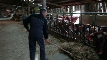 Mayenne : dans la famille Piquet, l'agriculture bio est une affaire de famille (France 2)