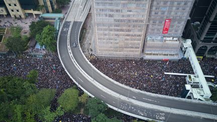 Des manifestants à Hong Kong, le 16 juin 2019. (EYEPRESS NEWS / AFP)