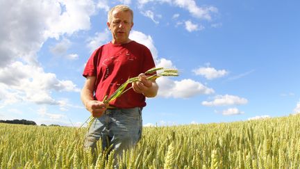 Le vice-président de la FNSEA Luc Smessaert, dans un champ de blé desseché de l'Oise. (FRED HASLIN / MAXPPP)