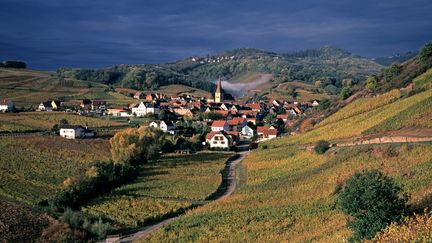 Niedermorschwihr, commune du Haut-Rhin, en Alsace, région Grand Est. (Illustration) (MURAT TANER / THE IMAGE BANK RF / GETTY IMAGES)