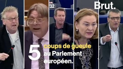 VIDEO. "Vous êtes des crétins finis !" : 5 échanges houleux au Parlement européen (BRUT)