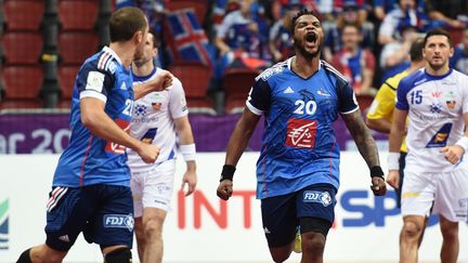 Cédric Sorhaindo, qui brille avec les Bleus à Doha, revient de loin (FAYEZ NURELDINE / AFP)