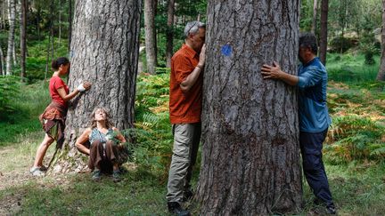 Un groupe d'une dizaine de personnes participe&nbsp;à un stage d'initiation de sylvothérapie en forêt de Fontainebleau, le 2 juillet 2018. (OLIVIER CORSAN / MAXPPP)