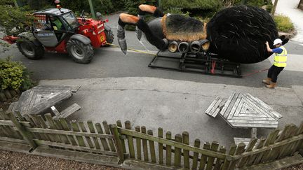 Des employ&eacute;s installent dans le zoo de Chester (Royaume-Uni) une tarentule g&eacute;ante robotis&eacute;e qui sera pr&eacute;sent&eacute;e dans le cadre d'une exposition, le 1er juillet 2013. (PHIL NOBLE / REUTERS)