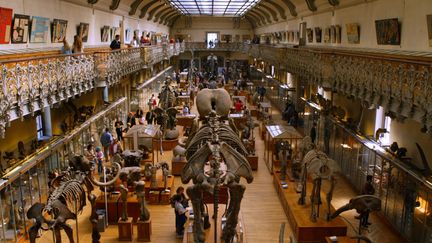 Des visiteurs du muséum d'histoire naturelle de Paris, le 4 mai 2003. (JEAN-PIERRE MULLER / AFP)