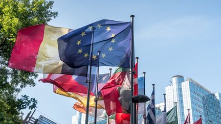 Les drapeaux des nations européennes devant le Parlement européen à Bruxelles. (Illustration) (SANTIAGO URQUIJO / MOMENT RF)