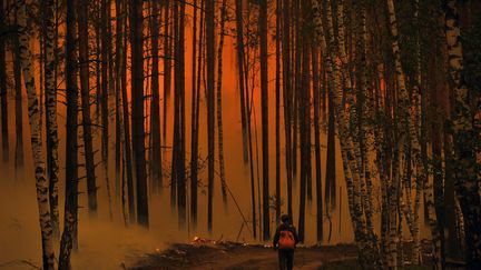 Un Russe marche dans une forêt près du village de Golovanovo, dans la région de Riazan (200 kilomètres au sud-est de Moscou), le 5 août 2010. Les feux provoqués par les températures caniculaires ont fait une cinquantaine de victimes brûlé près de 800 000 hectares de forêt.&nbsp; (NATALIA KOLESNIKOVA / AFP)