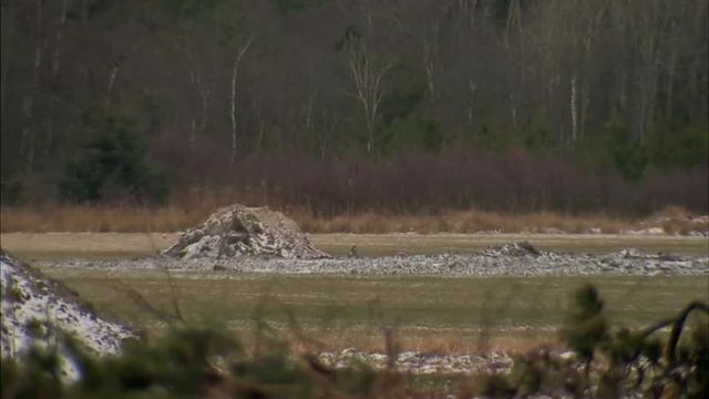 Un ado danois retrouve la carcasse d'un avion nazi