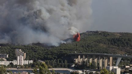 La fumée&nbsp;de l'incendie de Martigues, le 4 août 2020 (SERGE GUEROULT / MAXPPP)