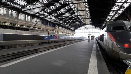 Les quais de la gare de Lyon, à Paris, le 13 avril 2018. (NICOLAS MERCIER / CROWDSPARK / AFP)