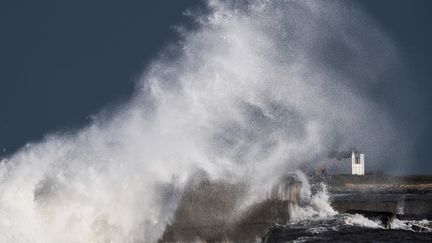 La mer déchainée à&nbsp;Plobannalec-Lesconil, dans le Finistère, lors de la tempête Bella, le 23 décembre 2020. (LOIC VENANCE / AFP)