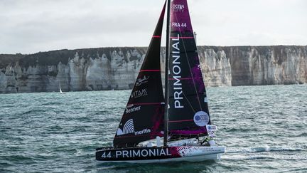 Primonial devrait faire partie des premiers bateaux à couper la ligne d'arrivée à Fort-de-France. (PIERRE BOURAS / PIERRE BOURAS)