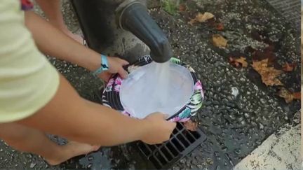 Canicule : la menace d'une vigilance rouge plane sur certains départements (FRANCE 2)