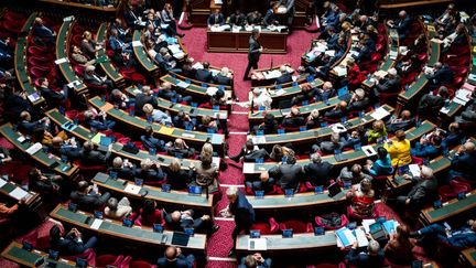 L'hémicycle du Sénat, à Paris, le 9 novembre 2022. (XOSE BOUZAS / HANS LUCAS / AFP)