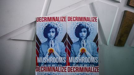 Des affiches en soutien à "l'initiative 301" soumise à référendum, visant à dépénaliser l'usage de champignons hallucinogènes à Denver, dans le Colorado (Etats-Unis), le 7 mai 2019.&nbsp; (MICHAEL CIAGLO / GETTY IMAGES NORTH AMERICA / AFP)