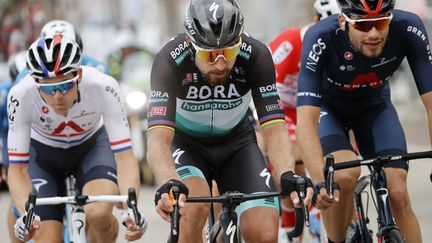 Peter Sagan (Bora) échappé lors de la 10e étape du Tour d'Italie (LUCA BETTINI / AFP)