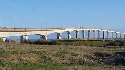 Le pont de l'île de Ré (Charente-Maritime) (GERALD PARIS / FRANCE-BLEU LA ROCHELLE)