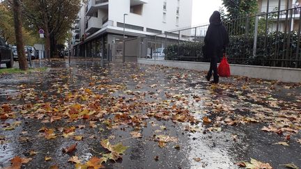 Des feuilles mortes mouillées recouvrent un trottoir. (OLIVIER BOITET / MAXPPP)