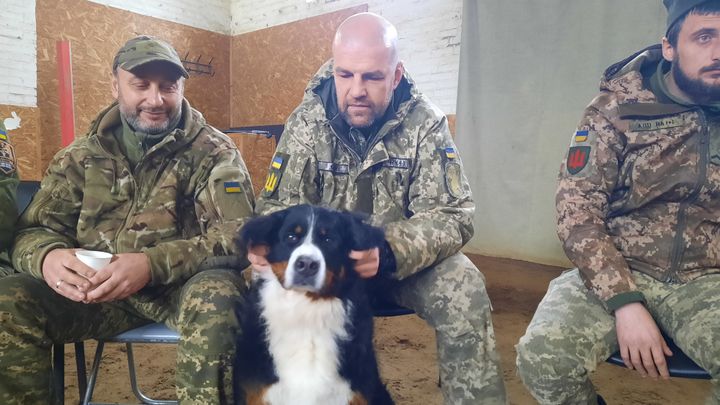 Les soldats peuvent aussi interragir avec des chiens et des chats dans ce centre d'équithérapie. (THIBAULT LEFEVRE / RADIO FRANCE)