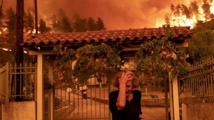 Incendies en Grèce : les habitants de l'île d'Eubée encore marqués par la catastrophe