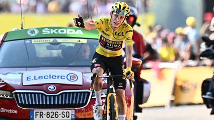 Jonas Vingegaard (Jumbo-Visma) triomphe à Hautacam&nbsp;(Hautes-Pyrénées), lors de la 18e étape du Tour de France, le 21 juillet 2022. (MARCO BERTORELLO / AFP)