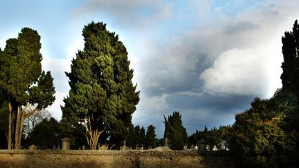 Vue d'un cimetière de Carcassonne (Aude) (AFP - Manuel Cohen)